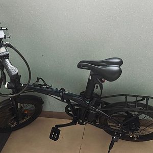 전기자전거 (삼천리 자전거 Q SF)