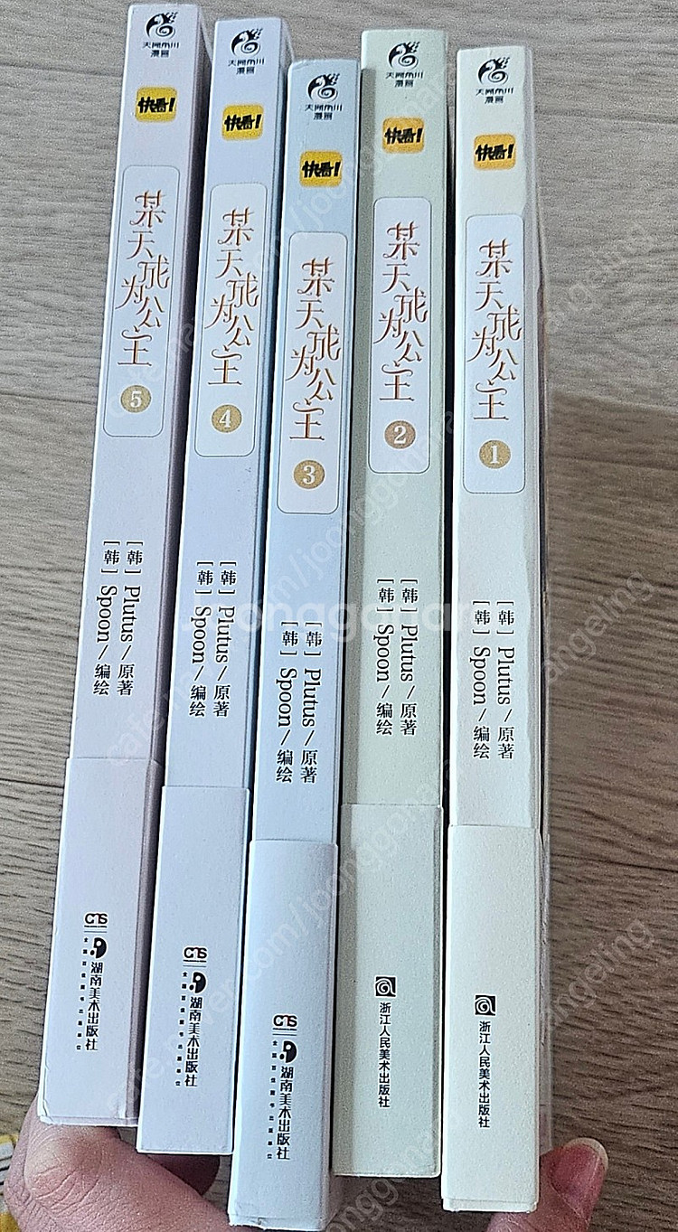 어느날 공주가 되어버렸다 만화책 (중국판)--0