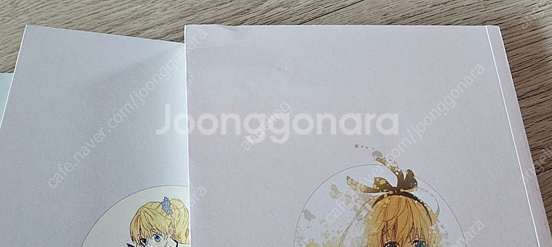 어느날 공주가 되어버렸다 만화책 (중국판)--2
