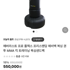 에버라스트 샌드백