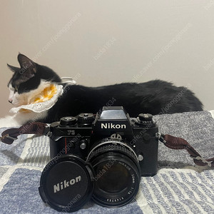 니콘 f3 필름카메라 +전용 플래쉬 sb16