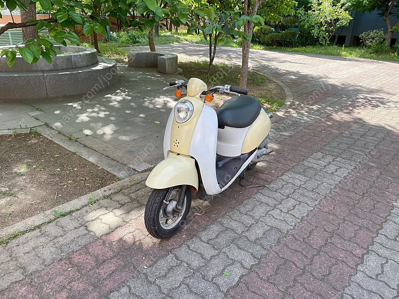 수원 혼다 스쿠피50cc 스쿠터 (비노 비너스 스쿠피 줌머) 이미지