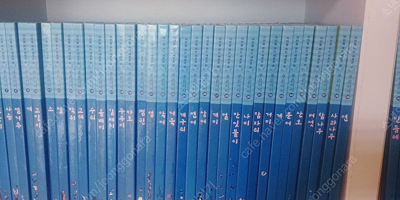 새책 중고전집 초등학생 학습 자연을 보는새로운눈 푸른아이 과학 동화책 웅진 교원 자연관찰
