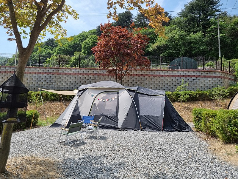 스노우라인 미라클 페밀리 텐트
