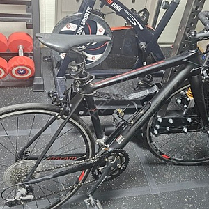 스타카토 팀 r1 판매합니다(stacato team r1)