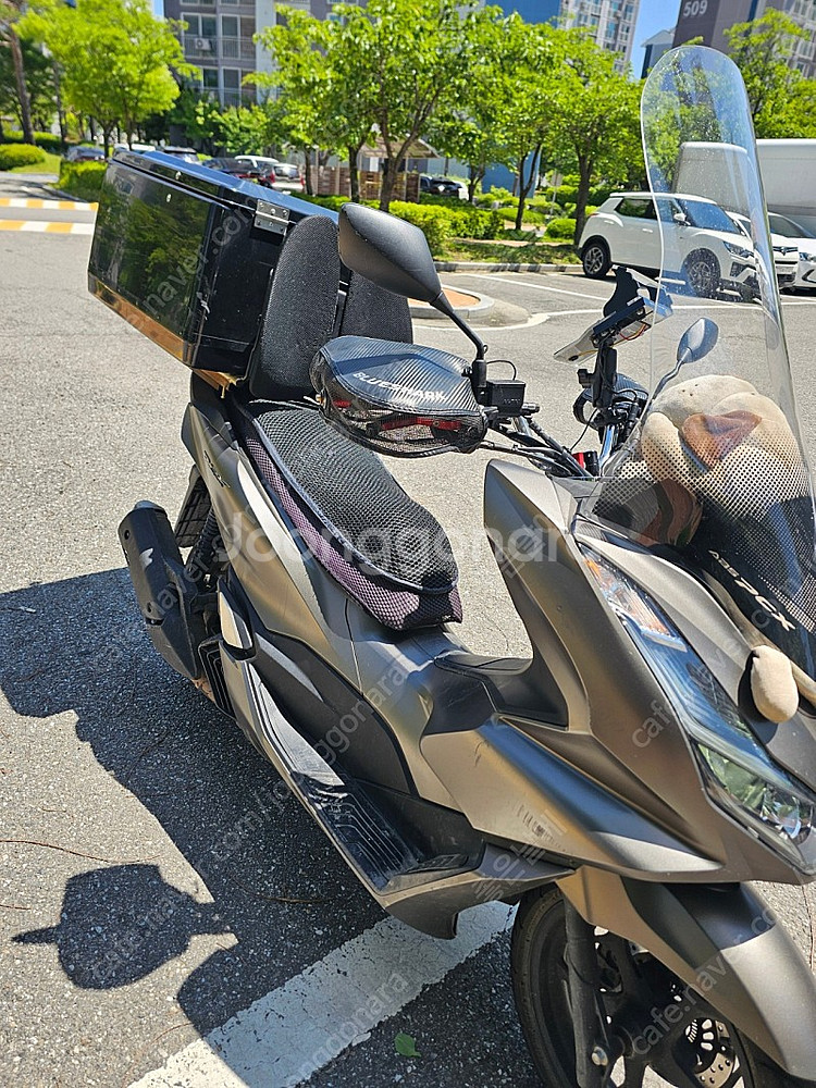 pcx23년식팝니다--1