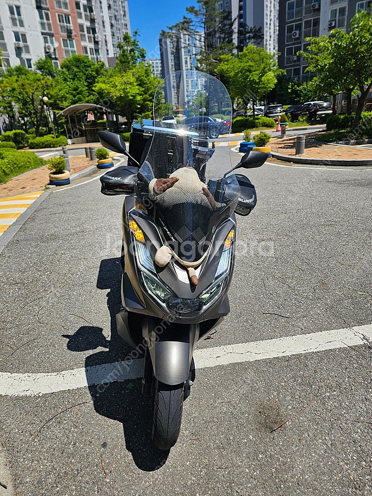 pcx23년식팝니다--3