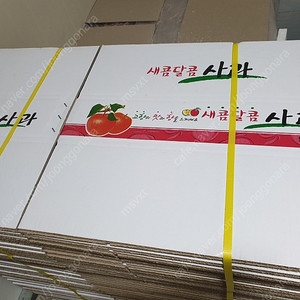(농사 과일) 사과 5kg 종이 상자 박스
