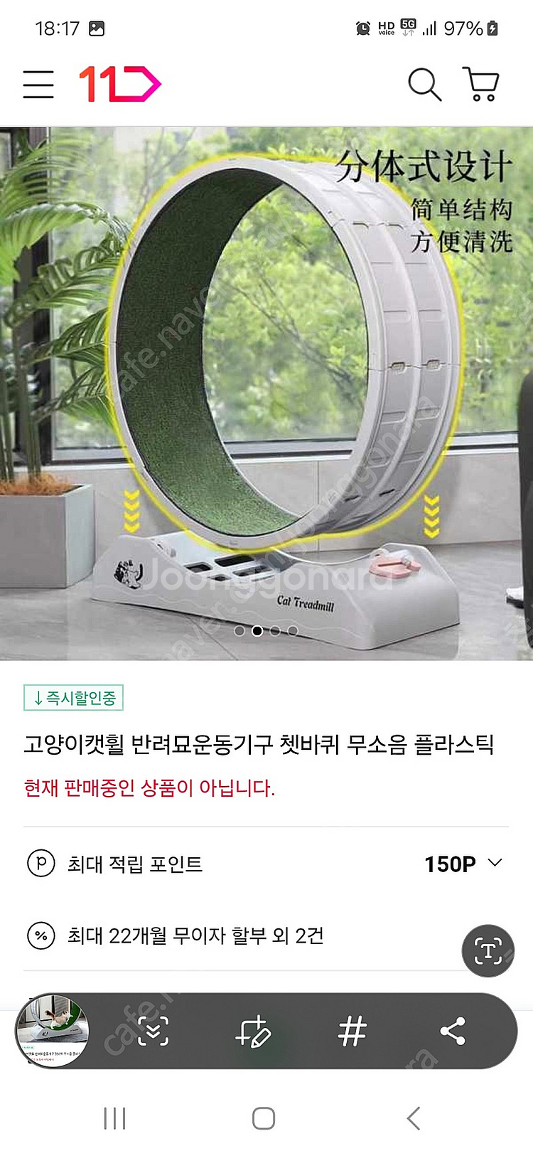 고양이캣휠--9