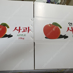 (농사 과일) 사과 종이상자, 난좌, 패드, 망, 플라스틱 콘티 상자
