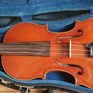 suzuki sv-550 4/4 바이올린