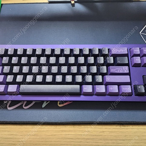 Tkd cycle7 유무선 키보드 (void elf/pvd blue)