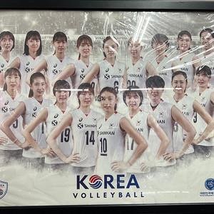 대한민국 여자 배구 국가대표팀 액자(43 x 53 cm)