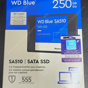 WD BLUE SSD 250GB (SA510)