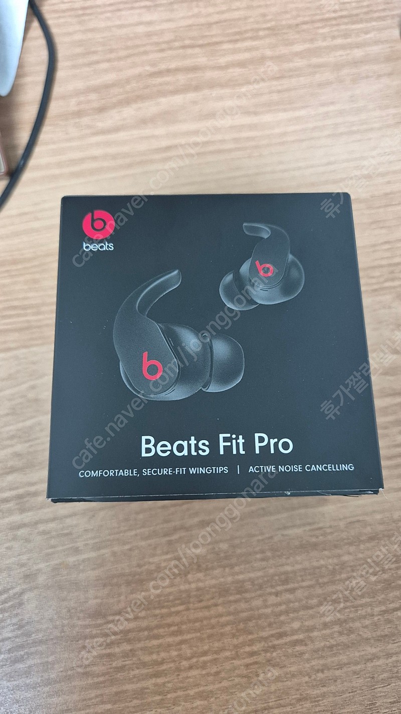 비츠 핏 프로 beats fit pro