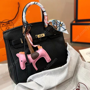 에르메스 BIRKIN 25 금장