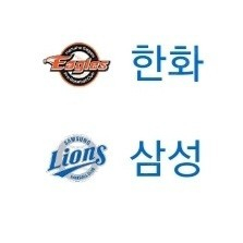 5/19 삼성라이온즈 vs 한화이글스 스카이상단 팝니다