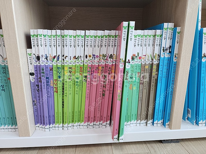 아람 꼬꼬마 자연관찰 자연이랑 세이펜버젼 전집세트 유아전집 중고 판매합니다.--2