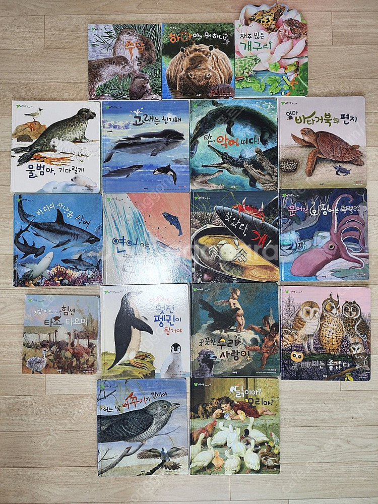 아람 꼬꼬마 자연관찰 자연이랑 세이펜버젼 전집세트 유아전집 중고 판매합니다.--6
