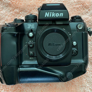 니콘 F4 필름카메라