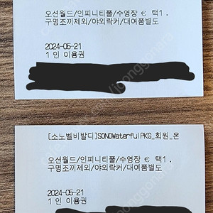 홍천 비발디파크 오션월드, 인피니티풀, 수영장 티켓 두장 일괄 팝니다.(21일까지)