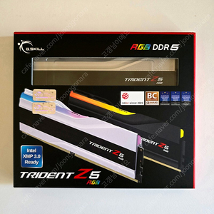 G.SKILL DDR5-8000 CL40 TRIDENT Z5 RGB J 실버 패키지 (48GB(24Gx2)) 램 팝니다.