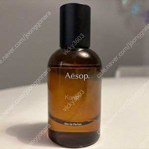 이솝 카르스트 50ml