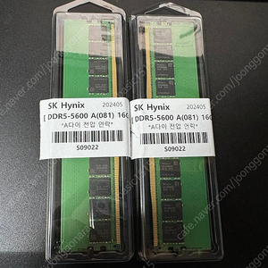 SK하이닉스 DDR5 5600Mhz A다이 언락 081N 16G 2개 팝니다.