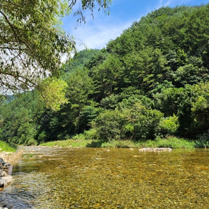 계곡 캠핑장 양도합니다(5.19~20)