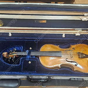 독일 올드 전공용 바이올린