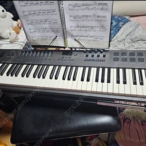 넥타 임팩트 lx88 플러스 마스터키보드 건반 피아노