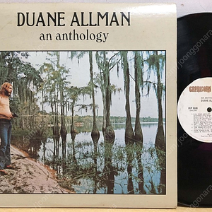 LP ; duane allman - an anthology 듀언 올맨 엘피 음반 블루스 락 blues rock