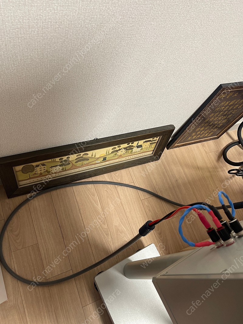 Shunyata Research(션야타) VENOM Speaker Cable 바나나 -바나나 골드 2.5m
