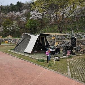 스프링바 패밀리캠퍼 바이슨