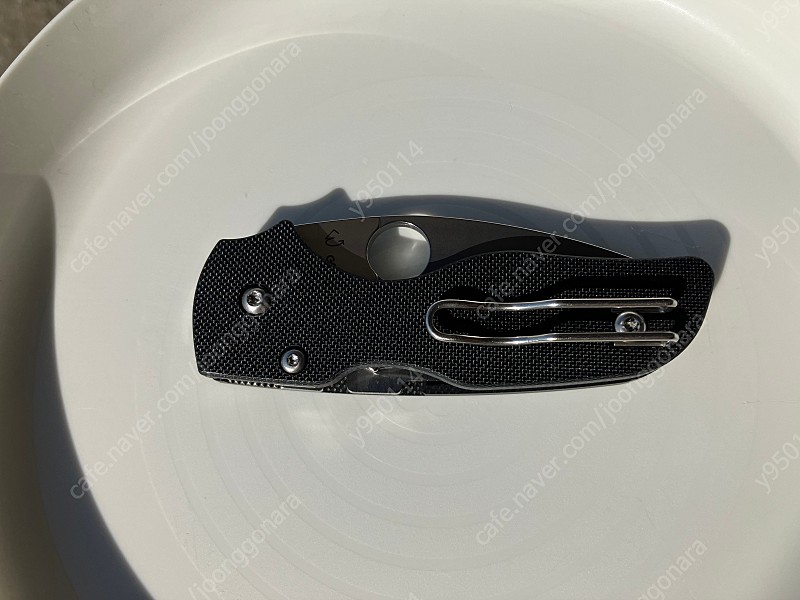 릴 네이티브 스파이더코 이미지