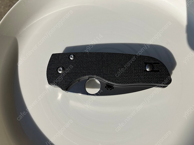 릴 네이티브 스파이더코 이미지