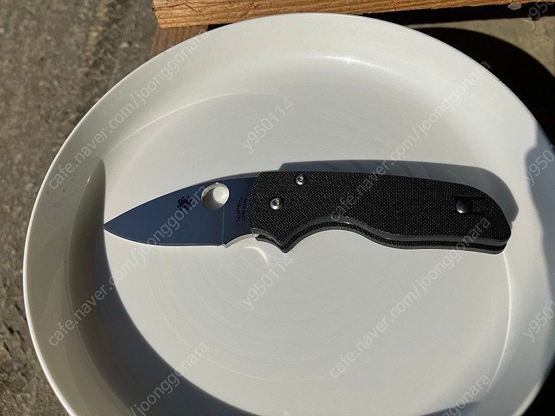 릴 네이티브 스파이더코 이미지