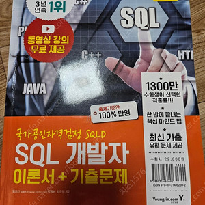 sql개발자 영진닷컴