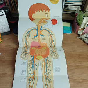 두산 자연관찰전집 60권 택포