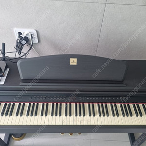 다이나톤 디지털 피아노(AMOR 7)