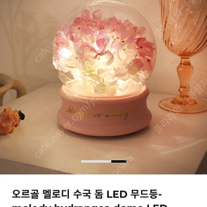 수국 돔 LED 무드등 꽃 오르골
