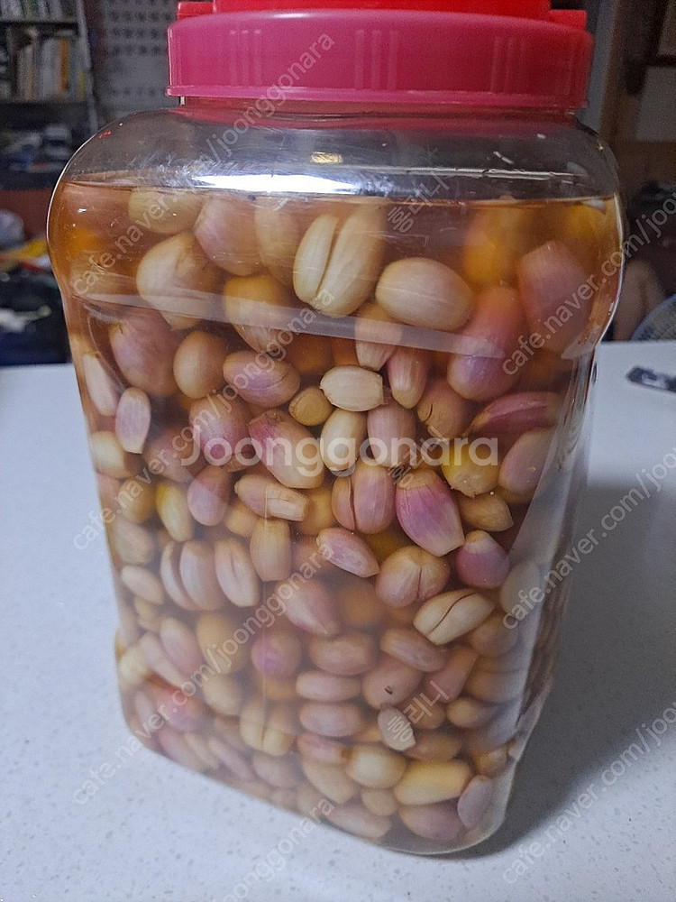 쪽파씨앗.락교(짱아치용)--3