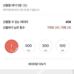 SKT 데이터 2GB 2기가 일괄 3000원