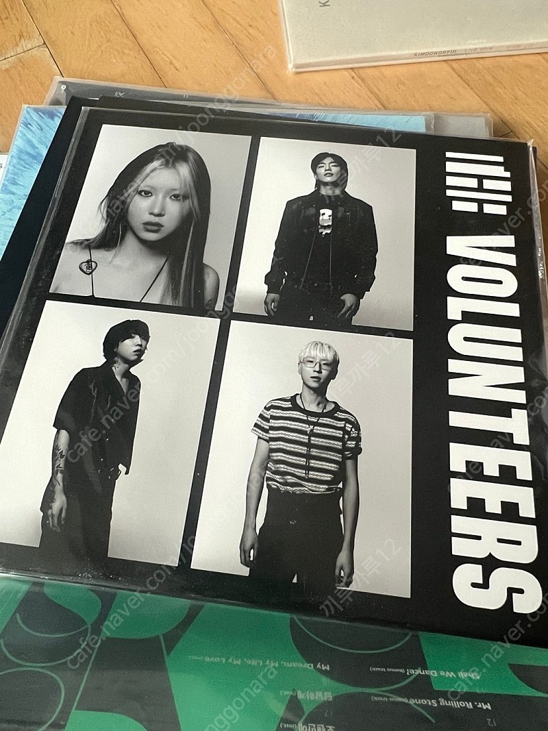 미개봉) 백예린LP 더 발룬티어스 LP the volunteers 1집