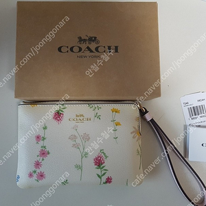 coach 여성 파우치