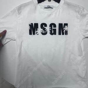 Msgm 10y