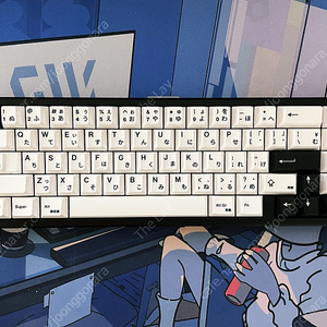 Space65 R3 Shadow 스페이스65 쉐도우 커스텀 키보드