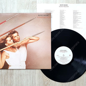 (LP 판매) 글램 록 - 락시 뮤직 (Roxy Music) Flesh + Blood 1980년 미국반