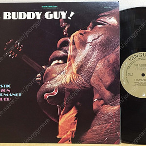 LP ; buddy guy 버디 가이 블루스 엘피 음반 4장 blues