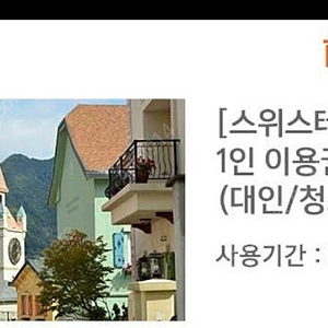 가평 에델바이스 스위스 테마파크 입장권 3매 일괄